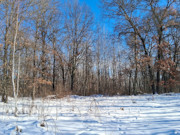 2-Acre Wooded Parcel Near the Namekagon River - Trego, WI