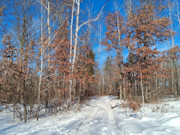 2-Acre Wooded Parcel Near the Namekagon River - Trego, WI