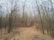 2-Acre Northwoods Property Near Trego, WI - Ready for Camping or Cabin