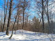 2-Acre Northwoods Property Near Trego, WI - Ready for Camping or Cabin