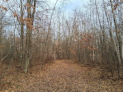 2-Acre Northwoods Property Near Trego, WI - Ready for Camping or Cabin