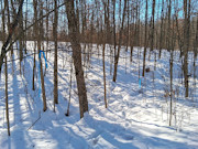2-Acre Northwoods Property Near Trego, WI - Ready for Camping or Cabin