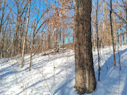 2-Acre Northwoods Property Near Trego, WI - Ready for Camping or Cabin