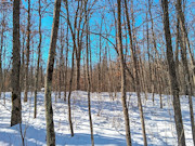 2-Acre Northwoods Property Near Trego, WI - Ready for Camping or Cabin