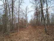 2-Acre Wooded Parcel Near the Namekagon River - Trego, WI