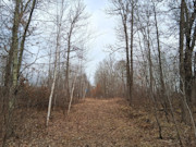 2-Acre Wooded Parcel Near the Namekagon River - Trego, WI