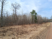 2-Acre Wooded Parcel Near the Namekagon River - Trego, WI 2-Acre Wooded Parcel Near the Namekagon River - Trego, WI
