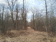 2-Acre Wooded Parcel Near the Namekagon River - Trego, WI 2-Acre Wooded Parcel Near the Namekagon River - Trego, WI