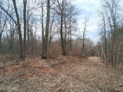 2-Acre Wooded Parcel Near the Namekagon River - Trego, WI 2-Acre Wooded Parcel Near the Namekagon River - Trego, WI