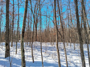 4+ Acre Buildable Northwoods Property Near Spooner, WI