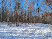 Nearly 9-Acre Wooded Parcel Adjoining National Forest - Trego, WI