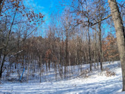 Nearly 9-Acre Wooded Parcel Adjoining National Forest - Trego, WI