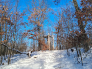 Nearly 9-Acre Wooded Parcel Adjoining National Forest - Trego, WI