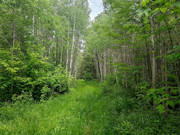 41 Acres Hunting Land Adjoining National Forest!