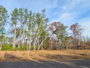 Private, Buildable 5-Acre Land For Sale Near Webster, WI