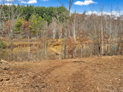 Private, Buildable 5-Acre Land For Sale Near Webster, WI