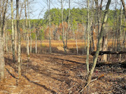 5 Acres For Sale near Webster, WI - Adjoining 5 Acres Available