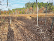 5 Acres For Sale near Webster, WI - Adjoining 5 Acres Available