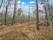 5 Acres For Sale near Webster, WI - Adjoining 5 Acres Available