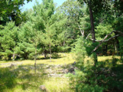 Central WI Cabin on 2 Acres Near Castle Rock Lake!