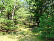 Central WI Cabin on 2 Acres Near Castle Rock Lake!